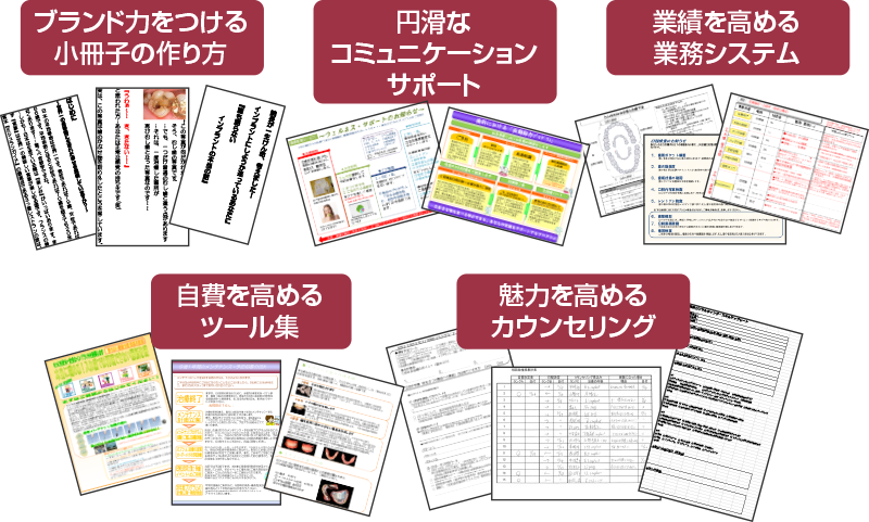 ブランド力をつける小冊子の作り方 円滑なコミュニケーションサポート 業績を高める業務システム 自費を高めるツール集 魅力を高めるカウンセリング